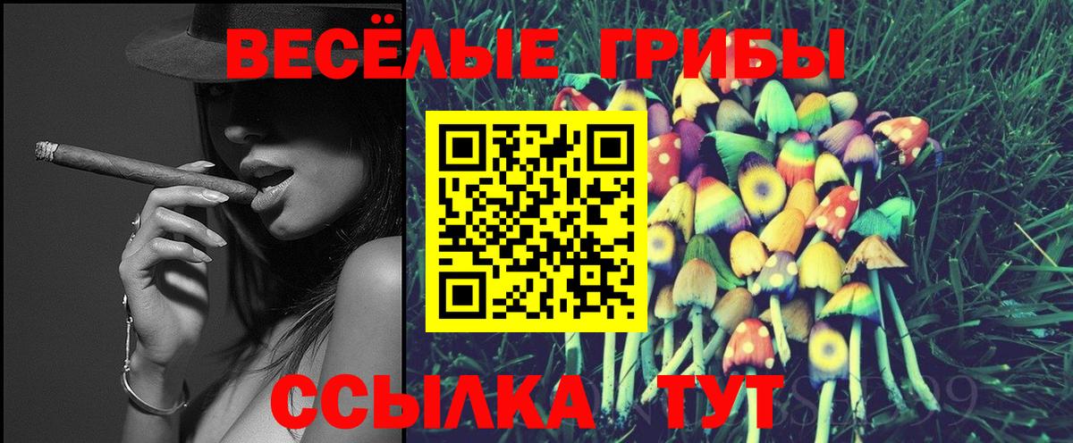 Псилоцибиновые грибы прущие грибы  Галлюциногенные грибы Psilocybe  Тулун  Вход с VPN 