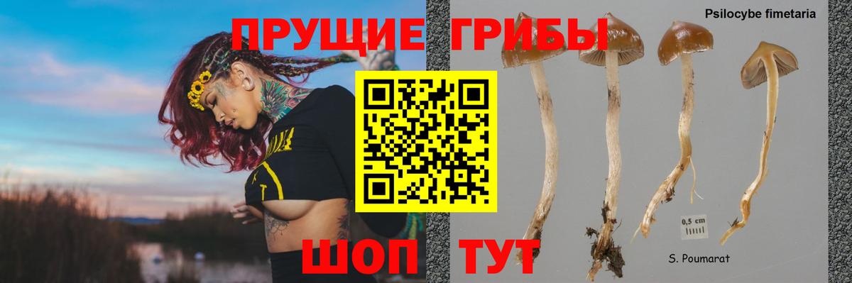 Галлюциногенные грибы GOLDEN TEACHER Тулун